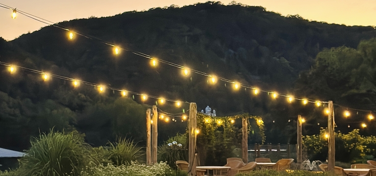 The garden in the evening with light bulbs